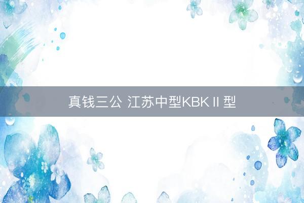 真钱三公 江苏中型KBKⅡ型