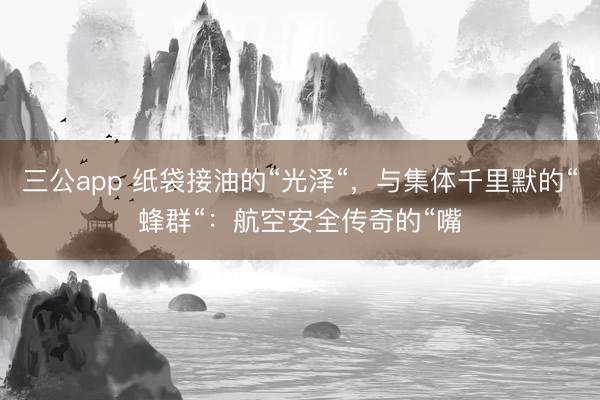 三公app 纸袋接油的“光泽“，与集体千里默的“蜂群“：航空安全传奇的“嘴