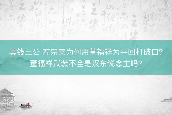 真钱三公 左宗棠为何用董福祥为平回打破口?董福祥武装不全是汉东说念主吗?