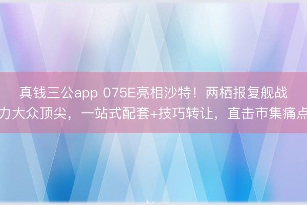 真钱三公app 075E亮相沙特！两栖报复舰战力大众顶尖，一站式配套+技巧转让，直击市集痛点