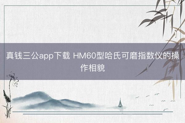 真钱三公app下载 HM60型哈氏可磨指数仪的操作相貌