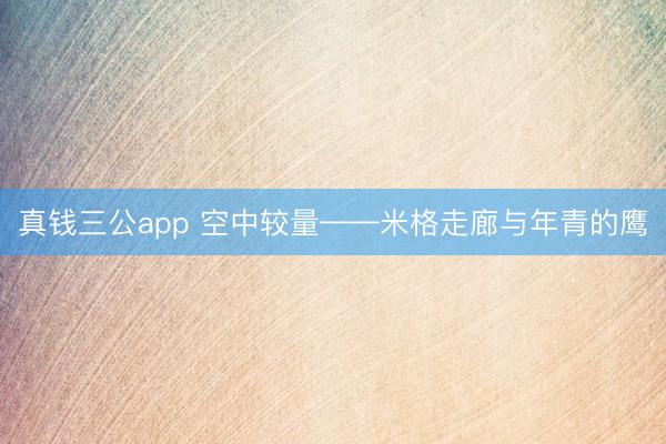 真钱三公app 空中较量——米格走廊与年青的鹰