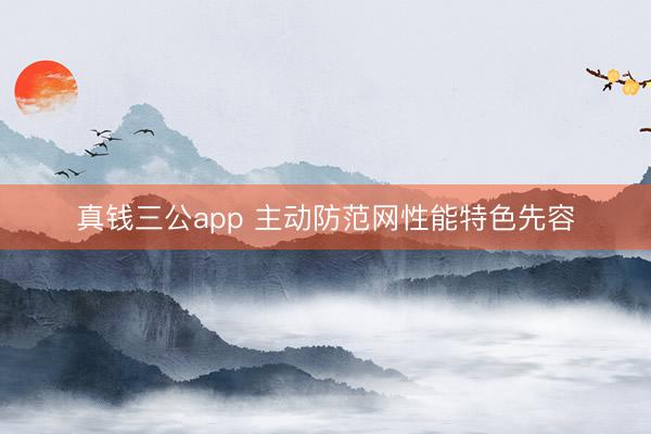 真钱三公app 主动防范网性能特色先容