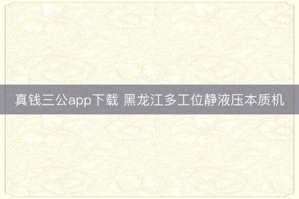 真钱三公app下载 黑龙江多工位静液压本质机