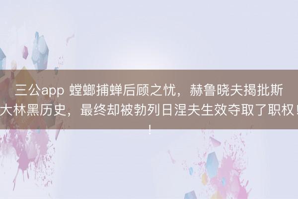 三公app 螳螂捕蝉后顾之忧，赫鲁晓夫揭批斯大林黑历史，最终却被勃列日涅夫生效夺取了职权！