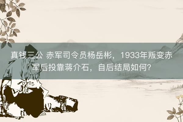 真钱三公 赤军司令员杨岳彬，1933年叛变赤军后投靠蒋介石，自后结局如何？