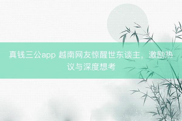 真钱三公app 越南网友惊醒世东谈主,激励热议与深度想考