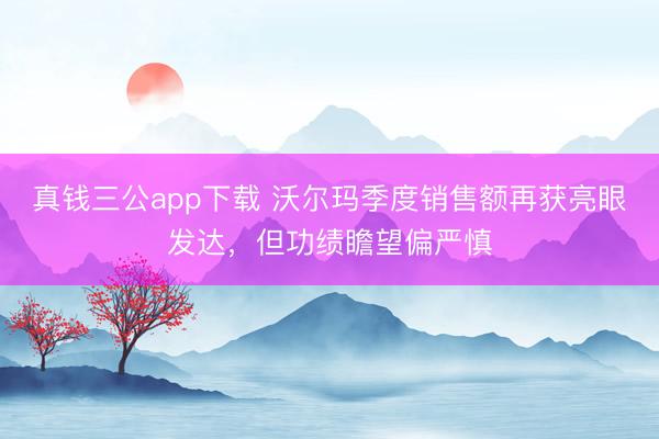 真钱三公app下载 沃尔玛季度销售额再获亮眼发达,但功绩瞻望偏严慎