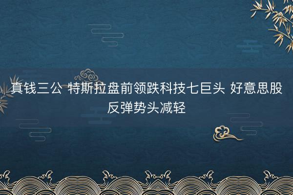 真钱三公 特斯拉盘前领跌科技七巨头 好意思股反弹势头减轻