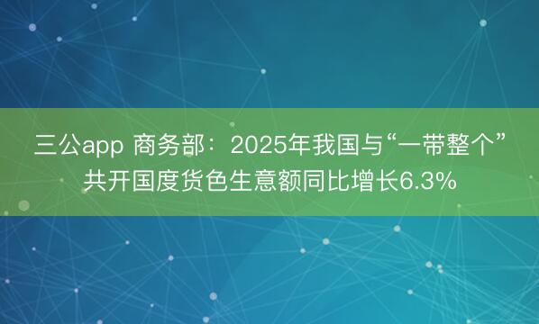 三公app 商务部:2025年我国与“一带整个”共开国度货色生意额同比增长6.3%