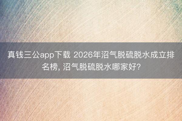 真钱三公app下载 2026年沼气脱硫脱水成立排名榜, 沼气脱硫脱水哪家好?
