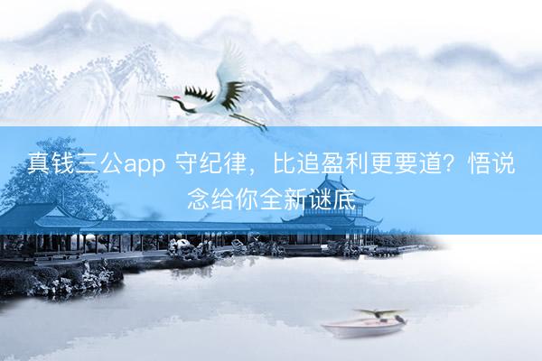 真钱三公app 守纪律，比追盈利更要道？悟说念给你全新谜底