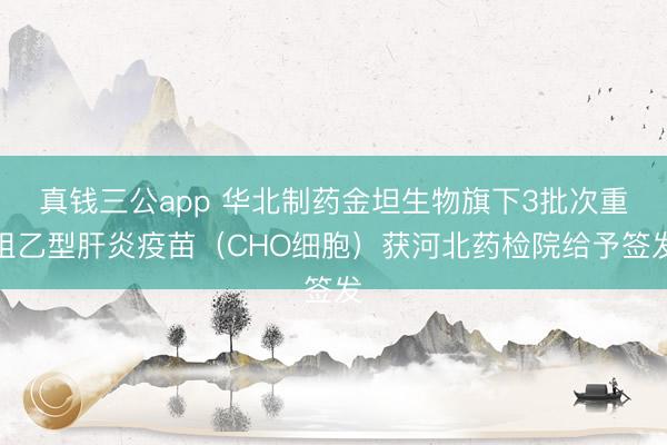 真钱三公app 华北制药金坦生物旗下3批次重组乙型肝炎疫苗(CHO细胞)获河北药检院给予签发