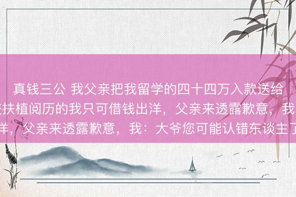 真钱三公 我父亲把我留学的四十四万入款送给了空乏学生，拿到学校扶植阅历的我只可借钱出洋，父亲来透露歉意，我：大爷您可能认错东谈主了