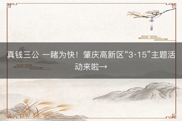 真钱三公 一睹为快！肇庆高新区“3·15”主题活动来啦→