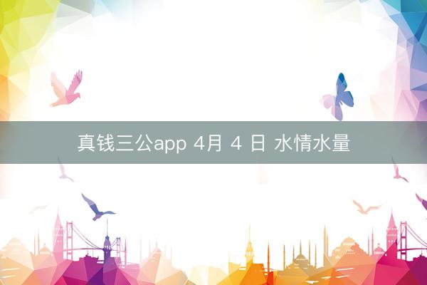 真钱三公app 4月 4 日 水情水量