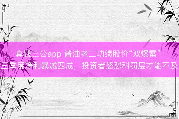 真钱三公app 酱油老二功绩股价“双爆雷”：三季度净利暴减四成，投资者怒怼科罚层才能不及