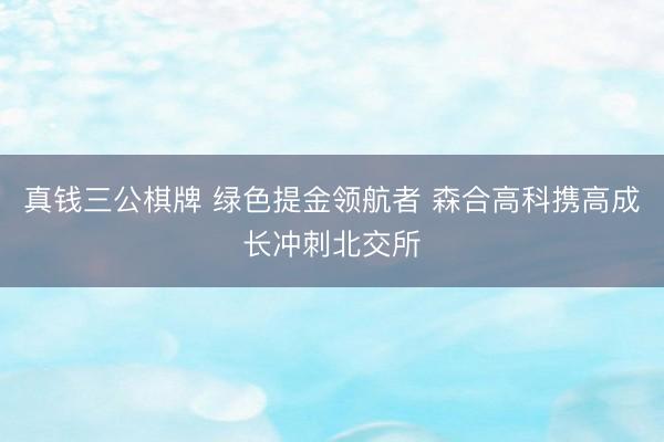 真钱三公棋牌 绿色提金领航者 森合高科携高成长冲刺北交所