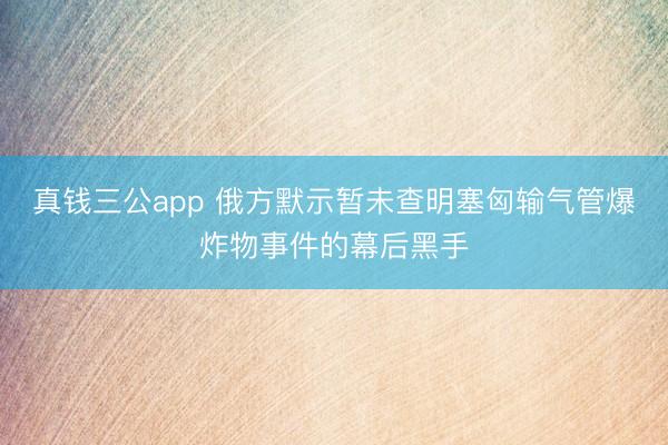 真钱三公app 俄方默示暂未查明塞匈输气管爆炸物事件的幕后黑手