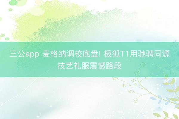 三公app 麦格纳调校底盘! 极狐T1用驰骋同源技艺礼服震憾路段