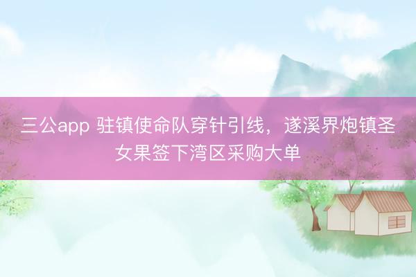 三公app 驻镇使命队穿针引线,遂溪界炮镇圣女果签下湾区采购大单