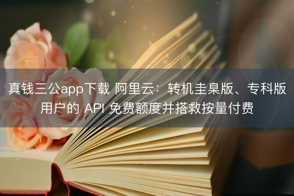 真钱三公app下载 阿里云:转机圭臬版、专科版用户的 API 免费额度并搭救按量付费