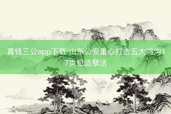 真钱三公app下载 山东公安重心打击五大鸿沟17类犯造孽法