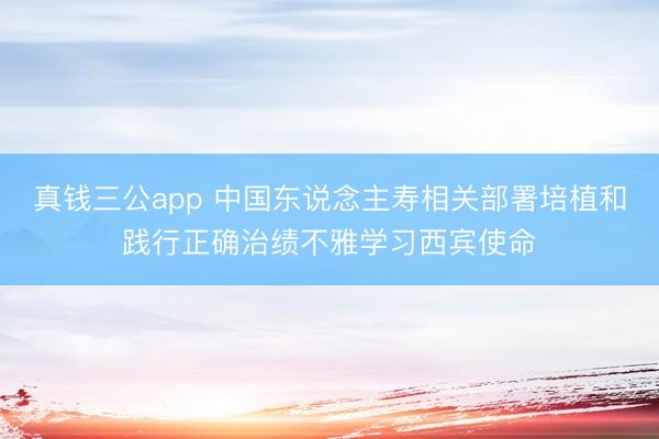 真钱三公app 中国东说念主寿相关部署培植和践行正确治绩不雅学习西宾使命