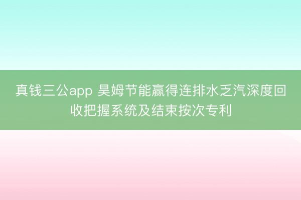 真钱三公app 昊姆节能赢得连排水乏汽深度回收把握系统及结束按次专利