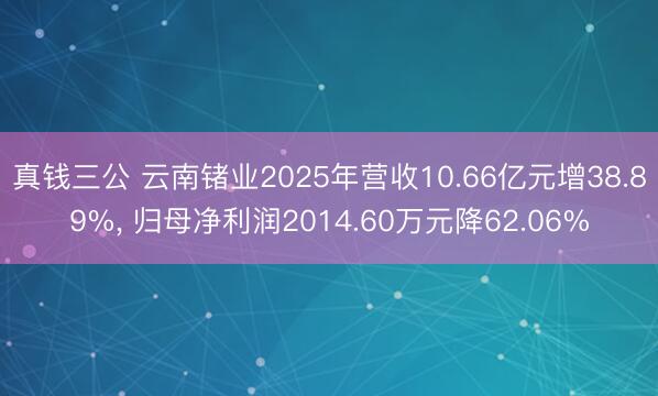 真钱三公 云南锗业2025年营收10.66亿元增38.89%， 归母净利润2014.60万元降62.06%