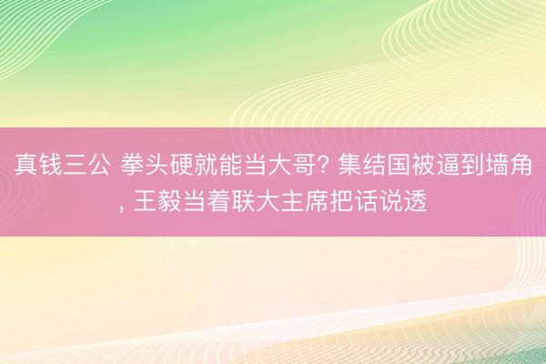 真钱三公 拳头硬就能当大哥? 集结国被逼到墙角， 王毅当着联大主席把话说透