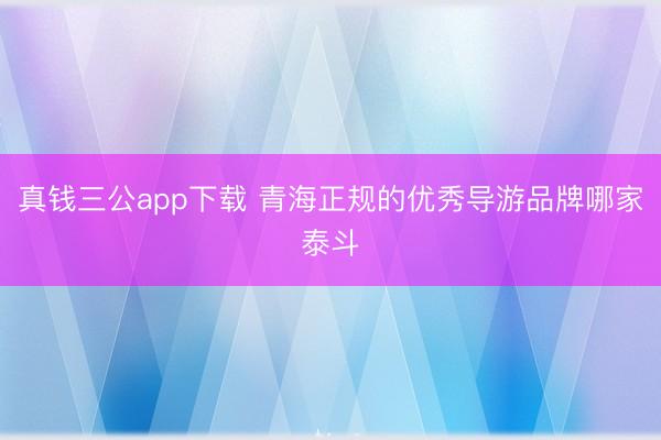 真钱三公app下载 青海正规的优秀导游品牌哪家泰斗