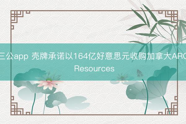 三公app 壳牌承诺以164亿好意思元收购加拿大ARC Resources