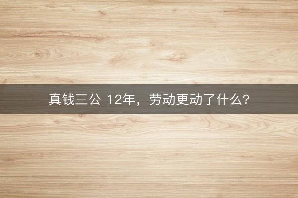 真钱三公 12年，劳动更动了什么？