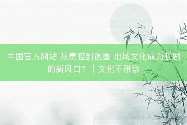 中国官方网站 从秦腔到徽墨 地域文化成为长剧的新风口？｜文化不雅察