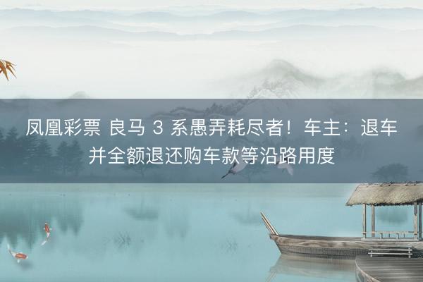 凤凰彩票 良马 3 系愚弄耗尽者！车主：退车并全额退还购车款等沿路用度