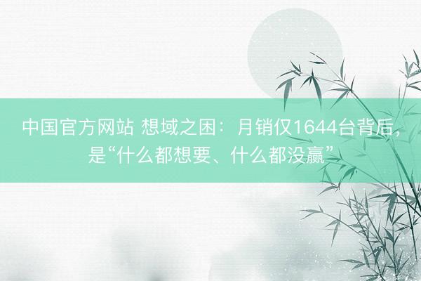 中国官方网站 想域之困：月销仅1644台背后，是“什么都想要、什么都没赢”
