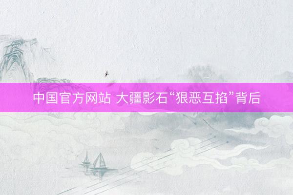 中国官方网站 大疆影石“狠恶互掐”背后